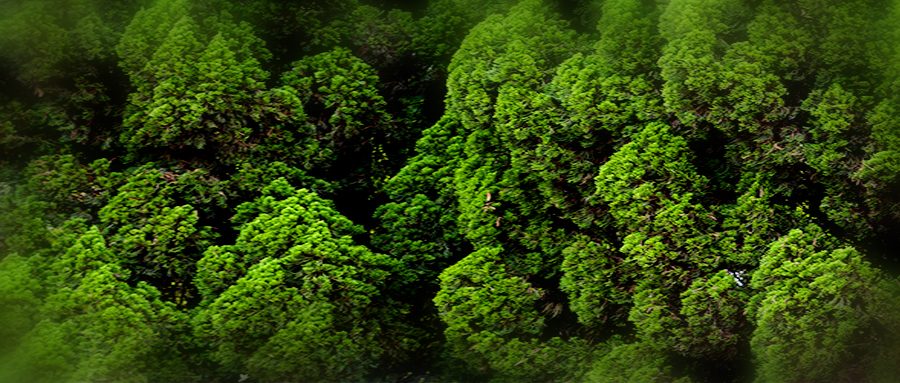 图司机-20210622-23314520.png